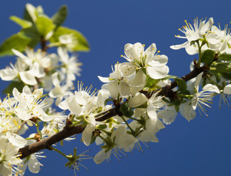 Similar image 21252059