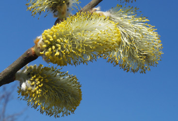 Similar image 21252067