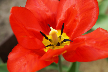 Similar image 21252070