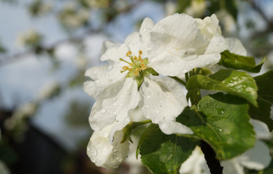 Similar image 21252072