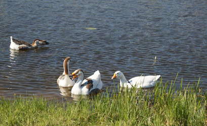 Similar image 21252074