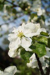 Similar image 21252076