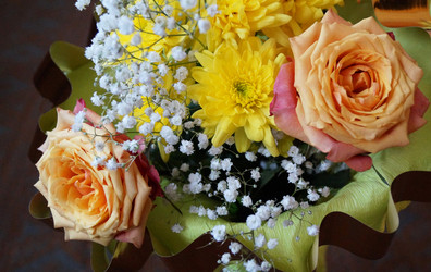 Similar image 21252079