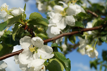 Similar image 21252080