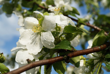 Similar image 21252082