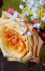 Similar image 21252083