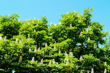 Similar image 21252086