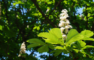 Similar image 21252088