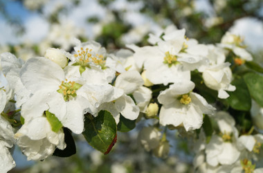 Similar image 21252090