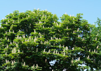 Similar image 21242044