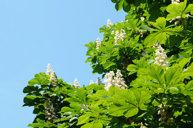 Similar image 21242046