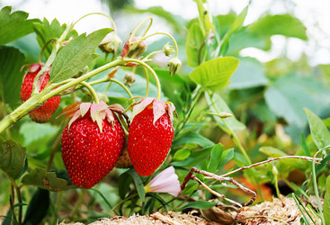 Similar image 21244760