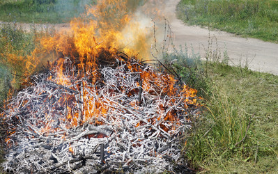 Similar image 21244765