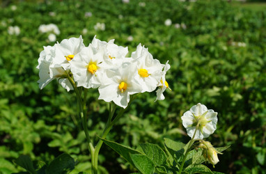 Similar image 21244772