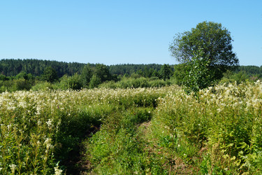 Similar image 21244776