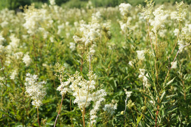 Similar image 21244778