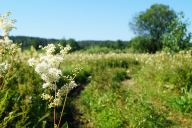 Similar image 21244780