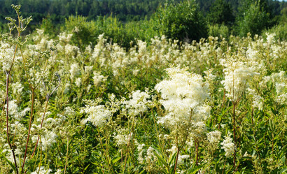 Similar image 21244782