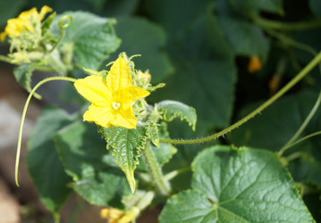 Similar image 21244784