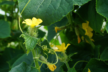 Similar image 21244787