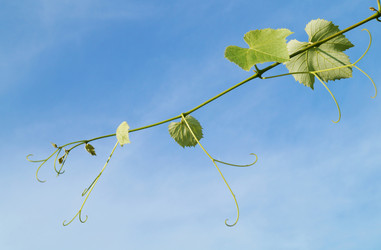 Similar image 21244791