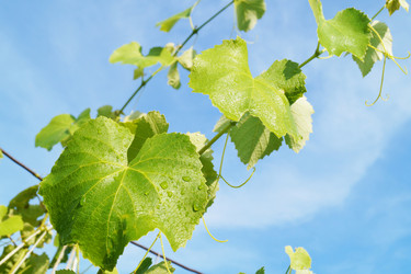 Similar image 21244795