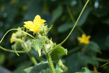 Similar image 21244797