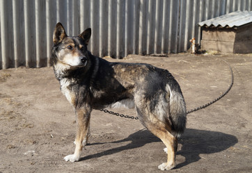 Similar image 21251993