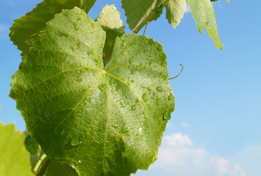 Similar image 21251996