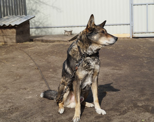 Similar image 21251997