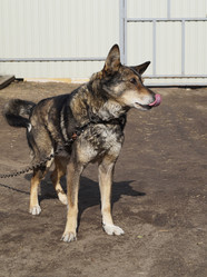 Similar image 21251999