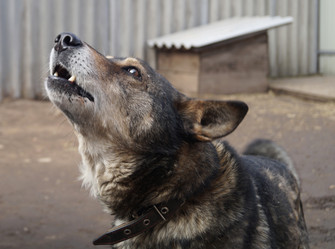 Similar image 21252001