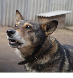 Similar image 21252003