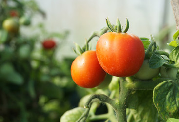 Similar image 21252012