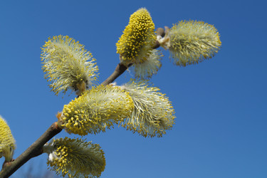 Similar image 21252094