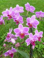 Similar image 21252105