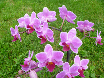 Similar image 21252108