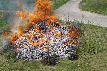 Similar image 21252114