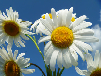 Similar image 21252115