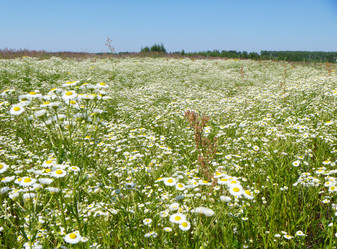 Similar image 21252117