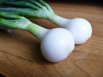 Similar image 21252118