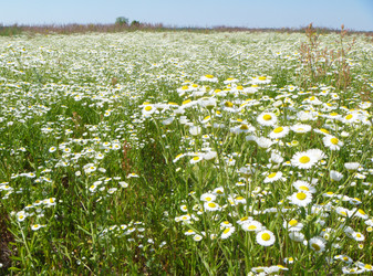 Similar image 21252119