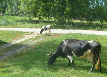 Similar image 21252122