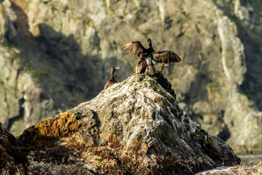 Similar image 21222680