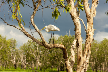 Similar image 21222685