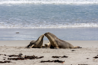 Similar image 21222697