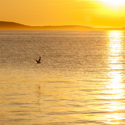 Similar image 21222713