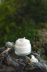 Similar image 21239227