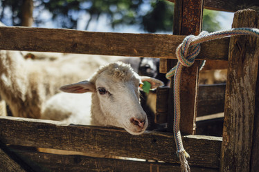 Similar image 21239241