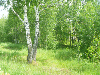 Similar image 21244809